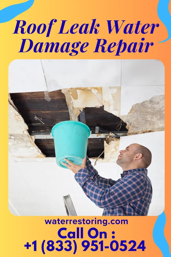 Roof Leak Water Damage Repair in Oxford, NC